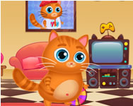 Pou - Lovely virtual cat