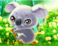 Happy koala online
